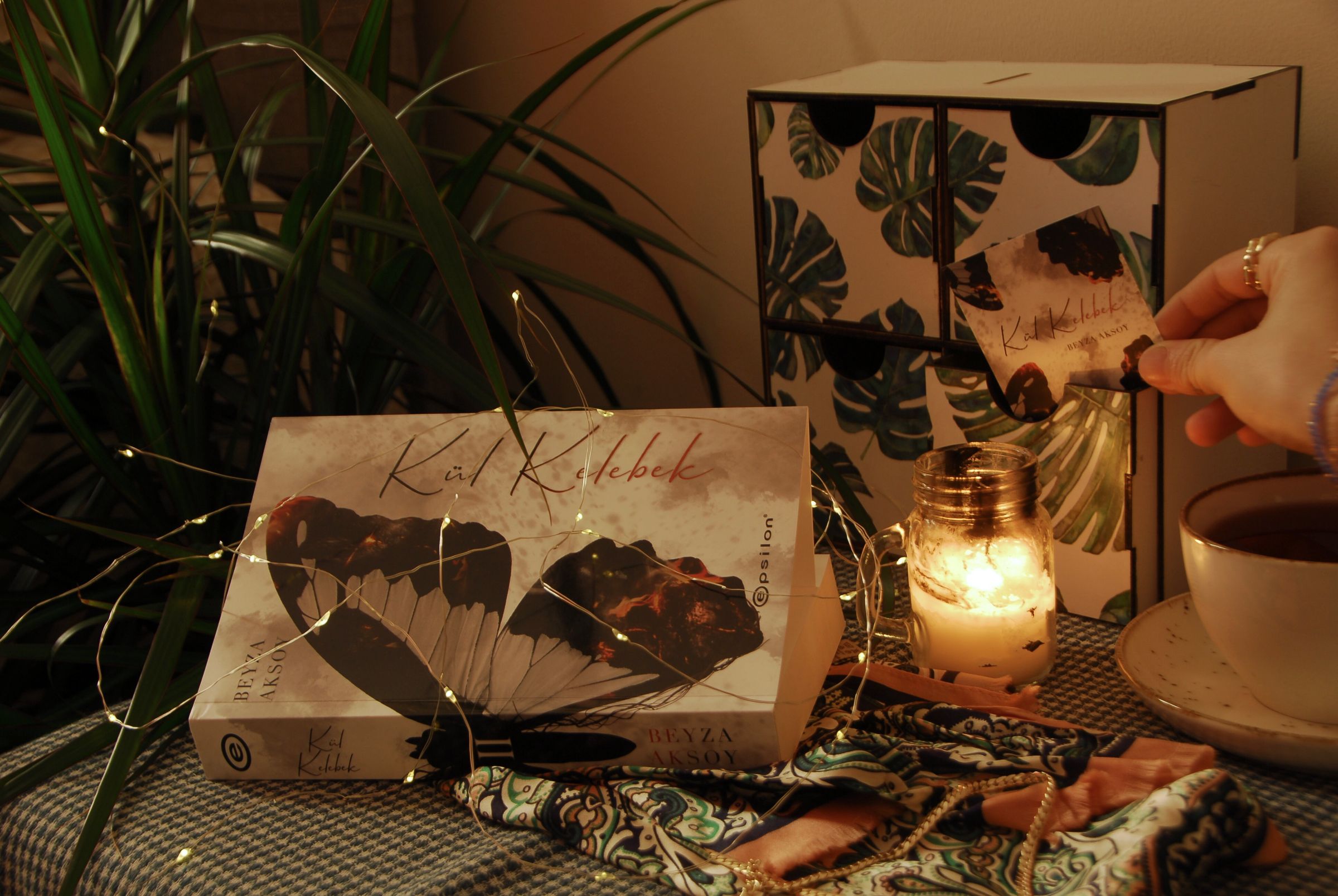 Nocturnly – collection rituel du soir